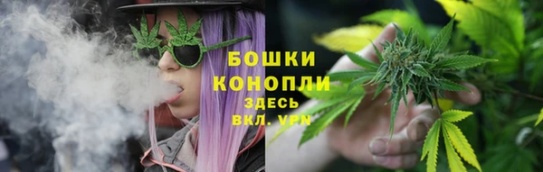 круглые Белокуриха