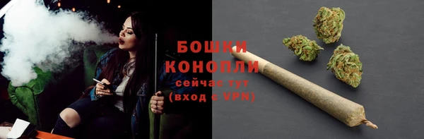 круглые Белокуриха