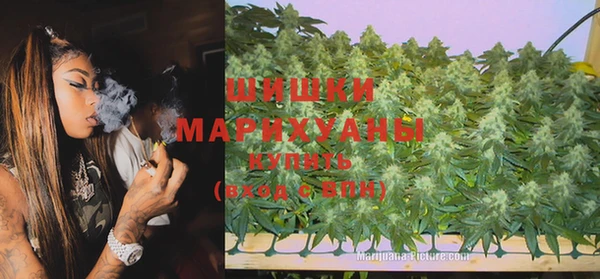 амф Богданович