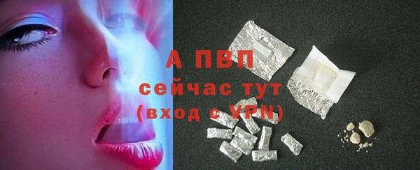 амф Богданович