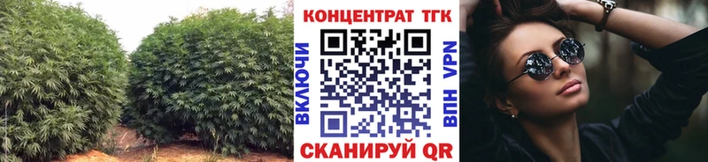 ТГК гашишное масло  Мураши 
